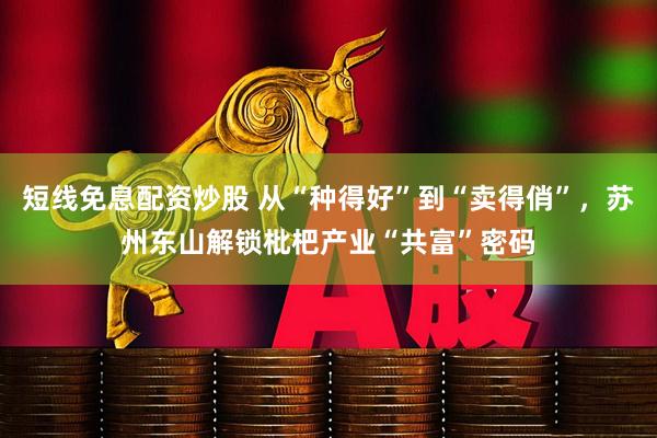 短线免息配资炒股 从“种得好”到“卖得俏”，苏州东山解锁枇杷产业“共富”密码