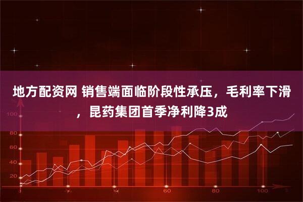 地方配资网 销售端面临阶段性承压，毛利率下滑，昆药集团首季净利降3成