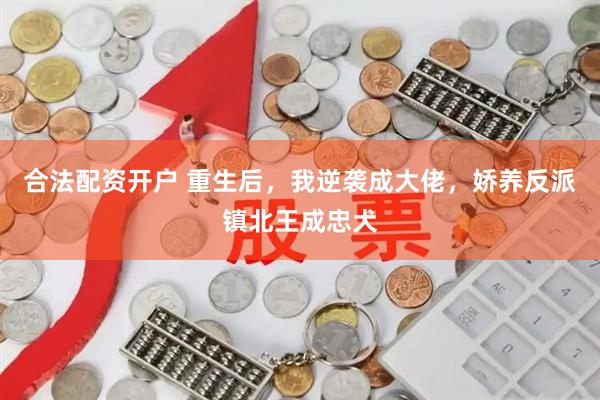 合法配资开户 重生后，我逆袭成大佬，娇养反派镇北王成忠犬