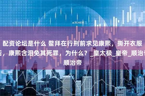 配资论坛是什么 鳌拜在行刑前求见康熙，撕开衣服后，康熙含泪免其死罪，为什么？_皇太极_皇帝_顺治帝