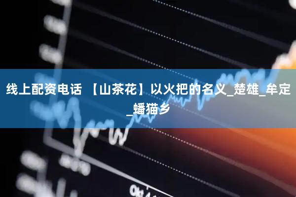 线上配资电话 【山茶花】以火把的名义_楚雄_牟定_蟠猫乡