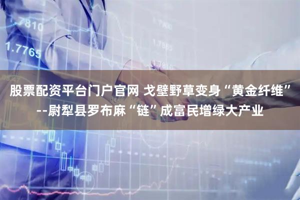 股票配资平台门户官网 戈壁野草变身“黄金纤维”--尉犁县罗布麻“链”成富民增绿大产业