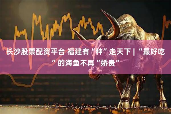 长沙股票配资平台 福建有“种”走天下 | “最好吃”的海鱼不再“娇贵”